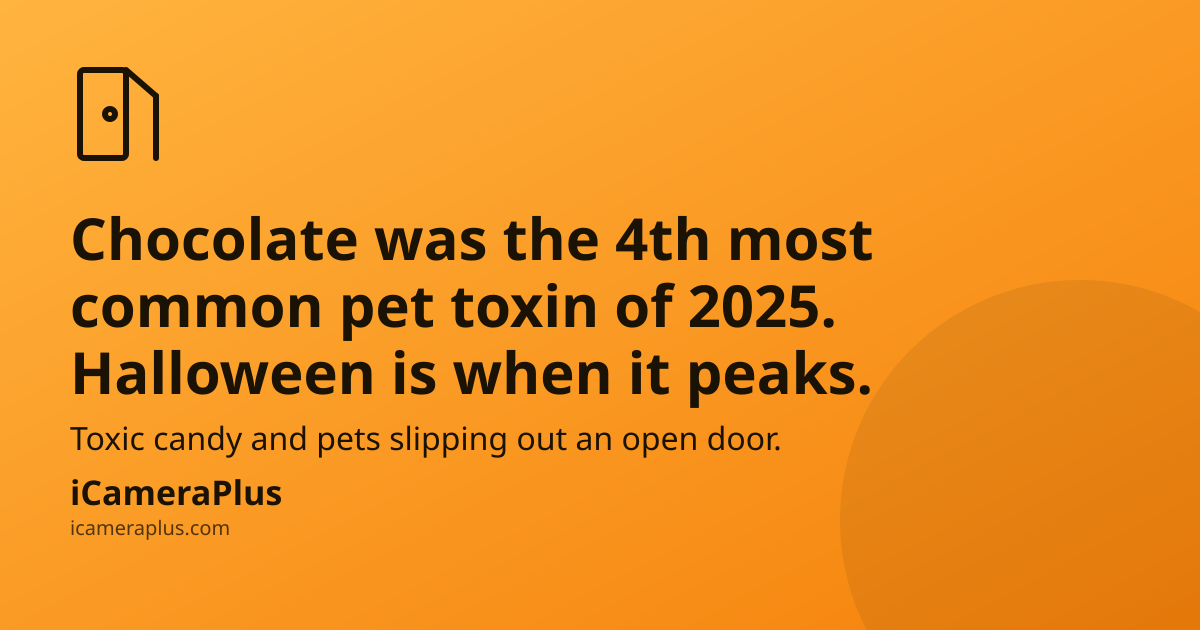 Orange gradient card with a hand-drawn open-door icon, the headline "Chocolate was the 4th most common pet toxin of 2025. Halloween is when it peaks." and the iCameraPlus brand strip.