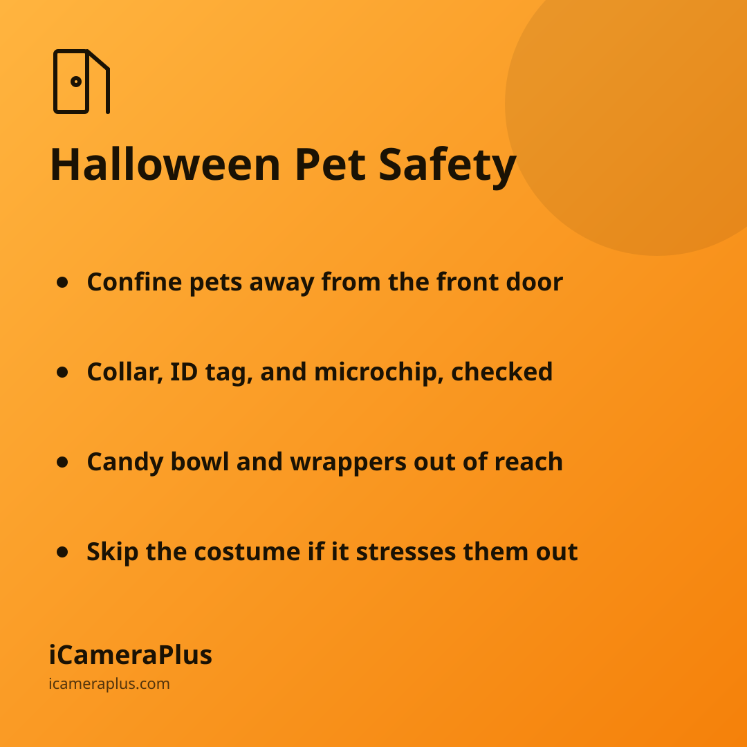 Orange gradient card titled "Halloween Pet Safety" with four bulleted safety takeaways and the iCameraPlus brand footer.